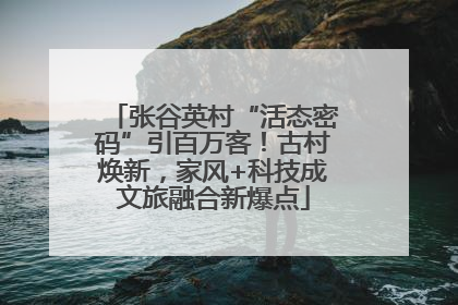 张谷英村“活态密码”引百万客！古村焕新，家风+科技成文旅融合新爆点
