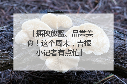 插秧放蟹、品尝美食！这个周末，吉报小记者有点忙