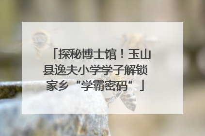 探秘博士馆！玉山县逸夫小学学子解锁家乡“学霸密码”