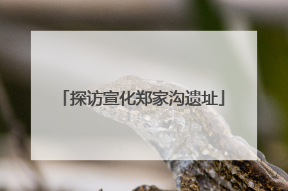 探访宣化郑家沟遗址