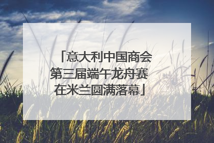 意大利中国商会第三届端午龙舟赛在米兰圆满落幕