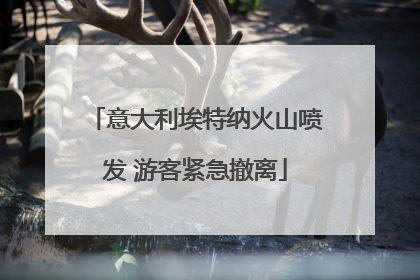 意大利埃特纳火山喷发 游客紧急撤离