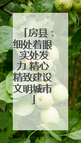 房县：细处着眼 实处发力 精心精致建设文明城市