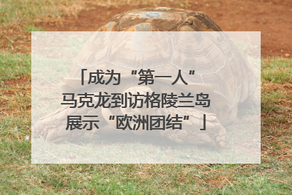 成为“第一人” 马克龙到访格陵兰岛展示“欧洲团结”