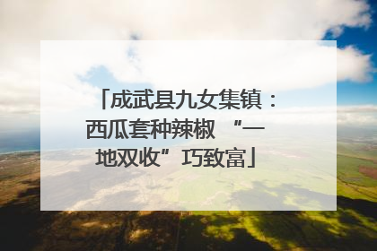 成武县九女集镇：西瓜套种辣椒 “一地双收”巧致富
