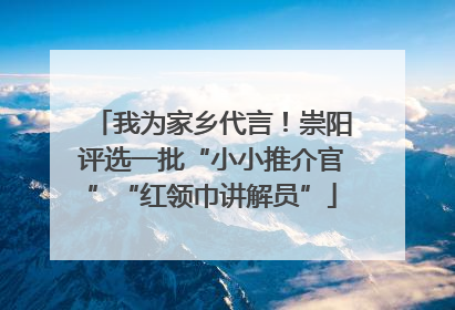 我为家乡代言！崇阳评选一批“小小推介官”“红领巾讲解员”