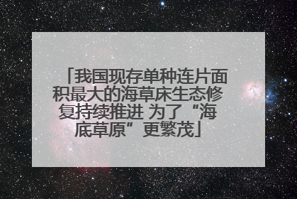 我国现存单种连片面积最大的海草床生态修复持续推进 为了“海底草原”更繁茂