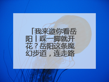 我来邀你看岳阳丨踩一脚就开花？岳阳这条魔幻步道，连走路都变得好玩！