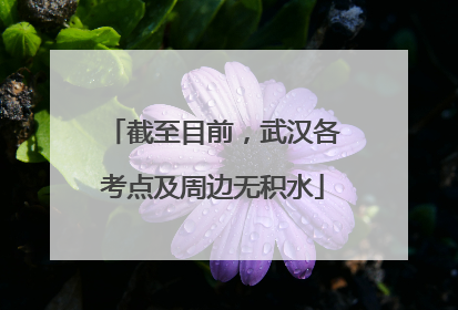 截至目前，武汉各考点及周边无积水
