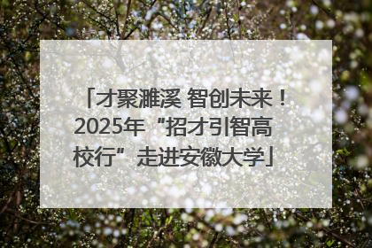 才聚濉溪 智创未来！2025年“招才引智高校行”走进安徽大学