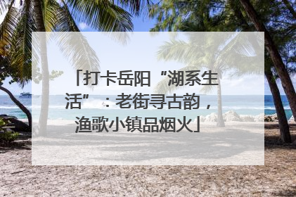 打卡岳阳“湖系生活”：老街寻古韵，渔歌小镇品烟火