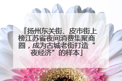 扬州东关街、皮市街上榜江苏省夜间消费集聚商圈，成为古城老街打造“夜经济”的样本