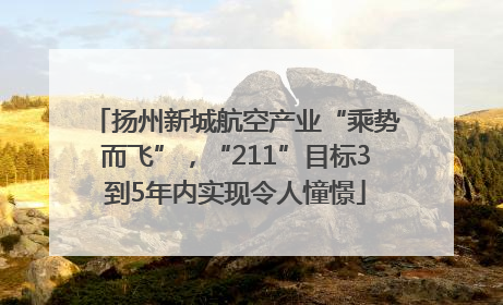 扬州新城航空产业“乘势而飞”，“211”目标3到5年内实现令人憧憬