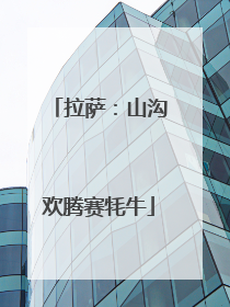 拉萨：山沟欢腾赛牦牛