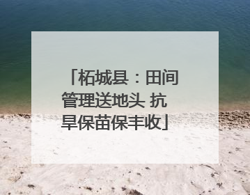 柘城县：田间管理送地头 抗旱保苗保丰收
