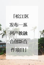 松江区发布一系列产教融合创新合作项目
