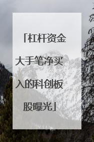 杠杆资金大手笔净买入的科创板股曝光
