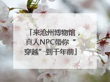 来沧州博物馆，真人NPC带你“穿越”到千年前