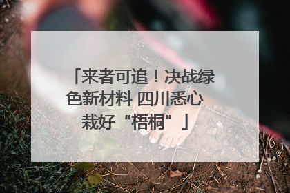 来者可追！决战绿色新材料 四川悉心栽好“梧桐”