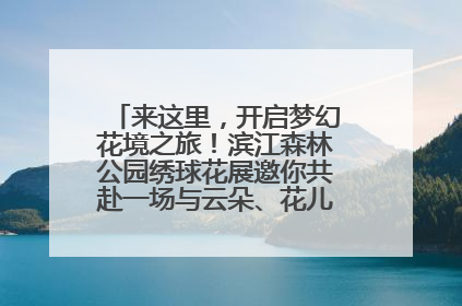 来这里，开启梦幻花境之旅！滨江森林公园绣球花展邀你共赴一场与云朵、花儿的浪漫之约