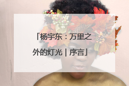 杨宇东：万里之外的灯光｜序言