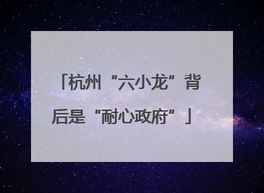杭州“六小龙”背后是“耐心政府”
