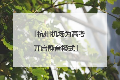 杭州机场为高考开启静音模式