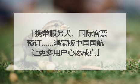 携带服务犬、国际客票预订……鸿蒙版中国国航让更多用户心愿成真