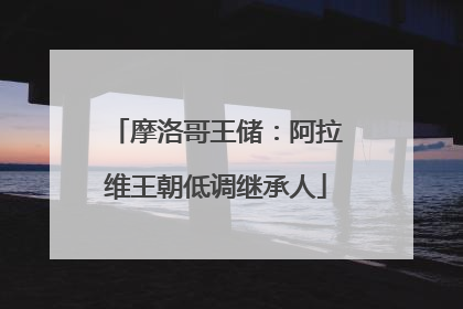 摩洛哥王储：阿拉维王朝低调继承人