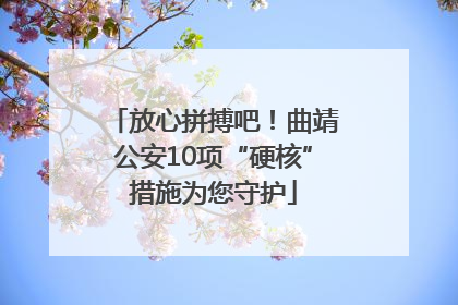 放心拼搏吧！曲靖公安10项“硬核”措施为您守护