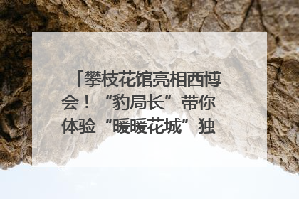攀枝花馆亮相西博会！“豹局长”带你体验“暖暖花城”独特魅力｜西博视界