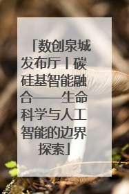 数创泉城发布厅丨碳硅基智能融合——生命科学与人工智能的边界探索