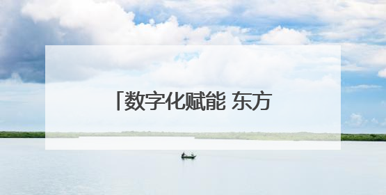 数字化赋能 东方雨虹全链“智变”