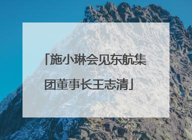 施小琳会见东航集团董事长王志清