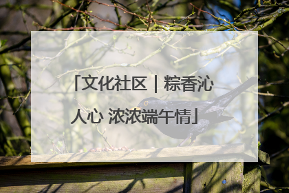 文化社区｜粽香沁人心 浓浓端午情