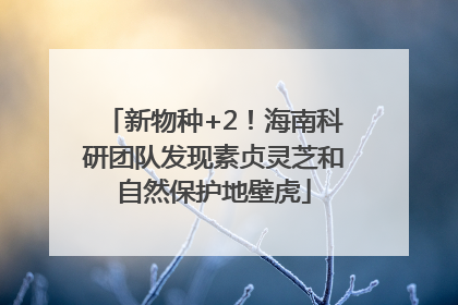新物种+2！海南科研团队发现素贞灵芝和自然保护地壁虎