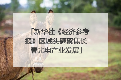 新华社《经济参考报》区域头题聚焦长春光电产业发展