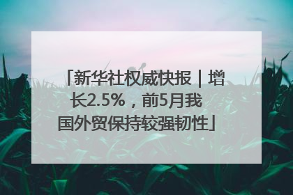 新华社权威快报｜增长2.5%，前5月我国外贸保持较强韧性