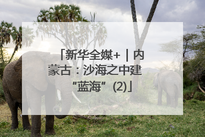 新华全媒+｜内蒙古：沙海之中建“蓝海”(2)