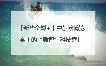 新华全媒+丨中东欧博览会上的“数智”科技秀