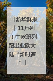 新华鲜报丨11万列！中欧班列跑出亚欧大陆“新时速”