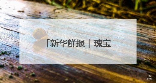 新华鲜报｜瑰宝更青春！看文化和自然遗产新光彩