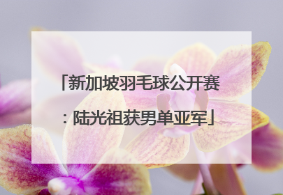 新加坡羽毛球公开赛：陆光祖获男单亚军
