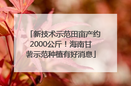 新技术示范田亩产约2000公斤！海南甘薯示范种植有好消息