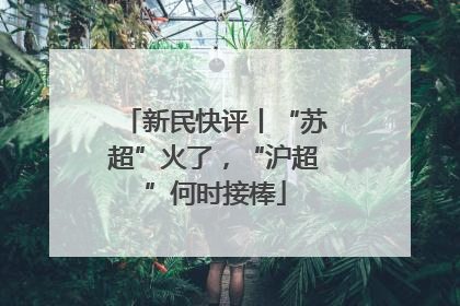 新民快评丨“苏超”火了，“沪超”何时接棒