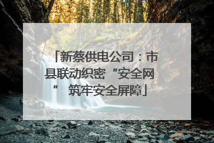 新蔡供电公司：市县联动织密“安全网” 筑牢安全屏障