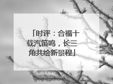 时评：合福十载汽笛鸣，长三角共绘新景程