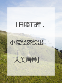 日照五莲：小院经济绘出大美画卷