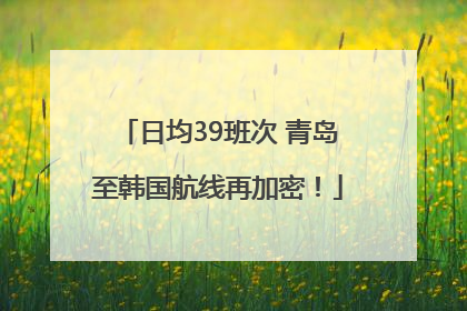 日均39班次 青岛至韩国航线再加密！