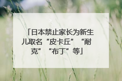 日本禁止家长为新生儿取名“皮卡丘”“耐克”“布丁”等
